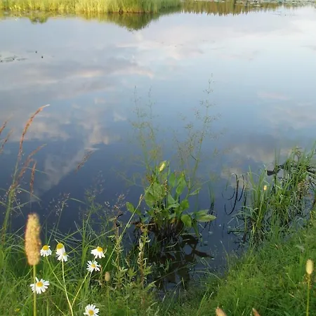 Countryside House Pauliina -lomatalo Alpstuga *