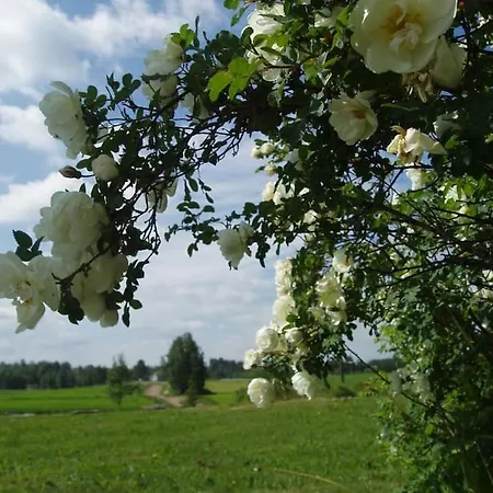 Countryside House Pauliina -lomatalo Jämijärvi