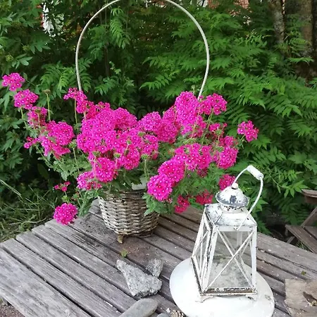 Countryside House Pauliina -lomatalo *