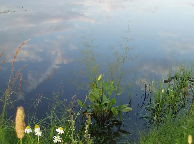 Countryside House Pauliina -lomatalo Chalet *