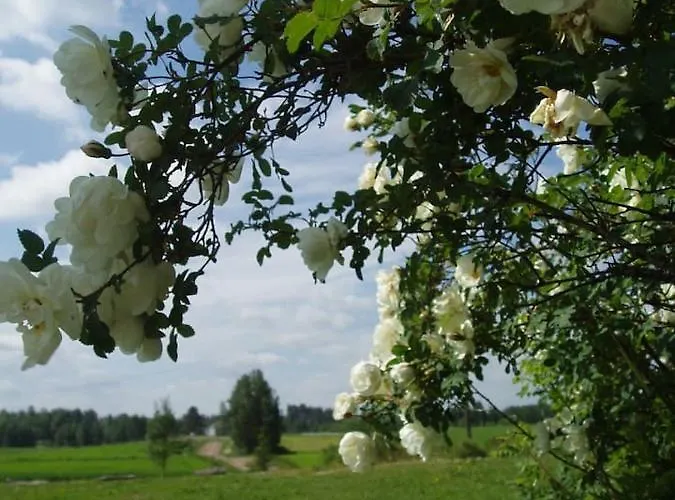 Countryside House Pauliina -lomatalo Jämijärvi