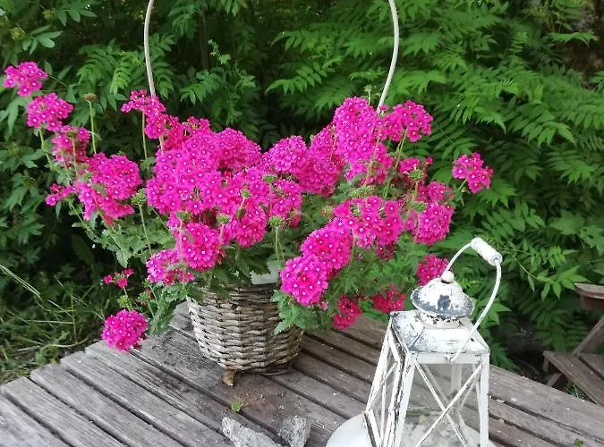 Countryside House Pauliina -lomatalo *